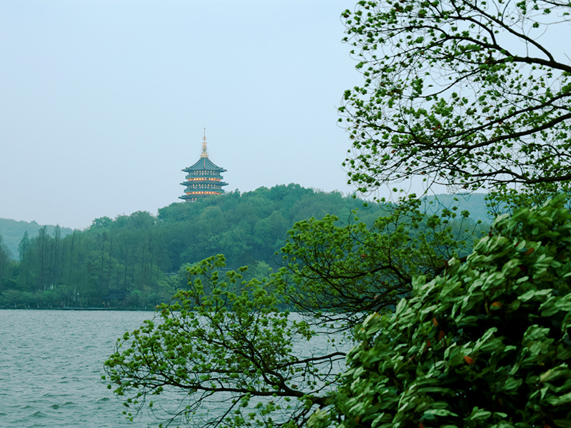 人文杭州，父母們來了！河南礦山第十三屆孝文化感恩旅游節(jié)第三站